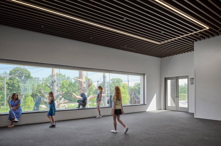 GP Completes Transformative Primate Habitat at Brookfield Zoo Chicago image 6
