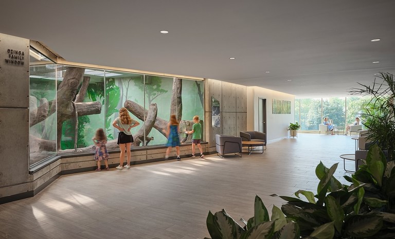 GP Completes Transformative Primate Habitat at Brookfield Zoo Chicago image 7