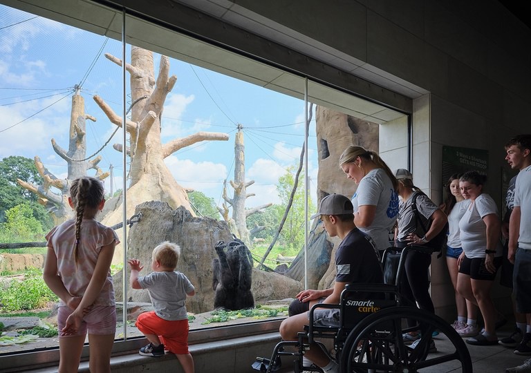 GP Completes Transformative Primate Habitat at Brookfield Zoo Chicago image 14