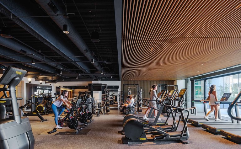 The fitness center, cardio equipment and free weights under a wood baffle ceiling with daylight along the glass wall.